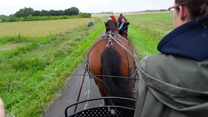 fripouillele cochon d'Inde de Charente